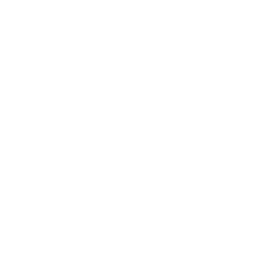Web Widget